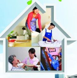 忠心家政服務(wù)加盟店數(shù)量及家政服務(wù)概覽