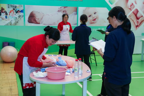 技能展風采 巾幗綻芳華——2024年上海市巾幗家政服務職業技能大賽盛大啟幕